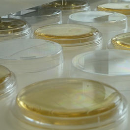 Medios de Calidad para Detección y Enumeración Microbiana 
